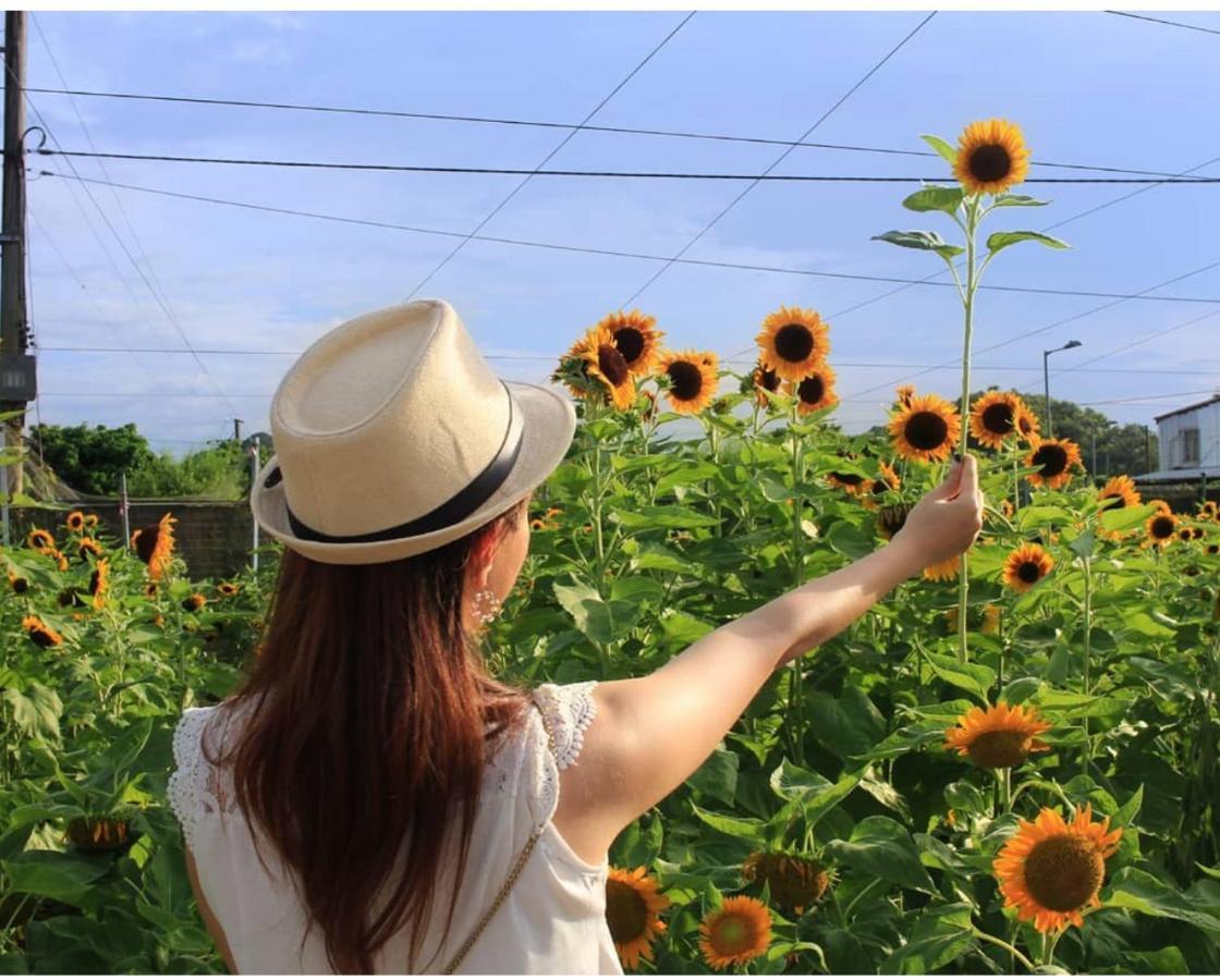 台中向日葵 아파트 외부 사진
